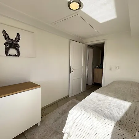 Nordwind 1849 Dagebuell